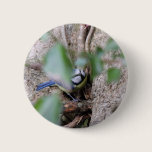 Blue Tit in the Ivy buttons