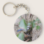 Blue Tit in the Ivy keychains