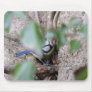 Blue Tit in the Ivy Mousepad