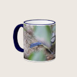 Blue Tit in the Ivy mugs
