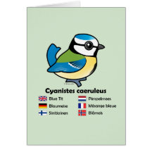 Blue Tit International Card