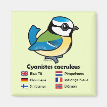 Blue Tit International Fridge Magnet
