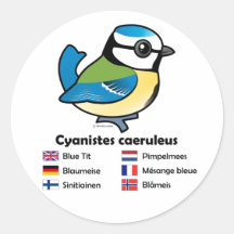 Blue Tit International Stickers