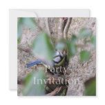Blue Tit Invitation