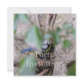 Blue Tit Invitation