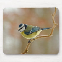 Blue tit mousepad