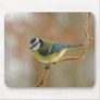 Blue tit mousepad