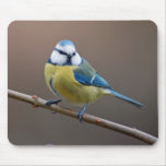 Blue tit mousepad.