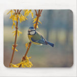 Blue tit mousepad