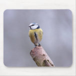 Blue tit mouse mats