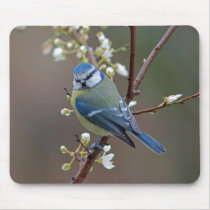 Blue Tit on rainy day mousepad