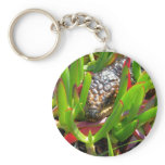 Blue Tongue Lizard keychains