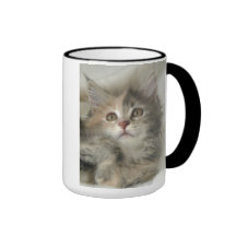 Blue Tortie Kitten Mug