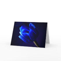 Blue tulip card