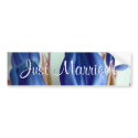Blue Tulips bumper stickers