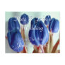 Blue Tulips