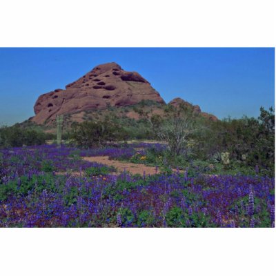 Blue Valley Photo Cut Out by BreathtakingNature