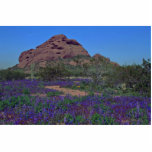 Blue Valley photo sculptures