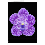 Blue Vanda Orchid Flower Greeting Card