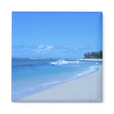 Blue Waters Magnet by dlgray