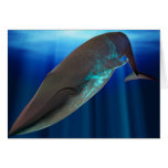 Blue Whale Card