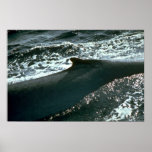 Blue whale, dorsal fin posters