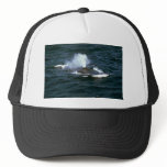 Blue whale hats