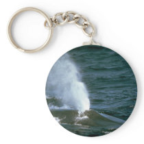 Blue whale keychains