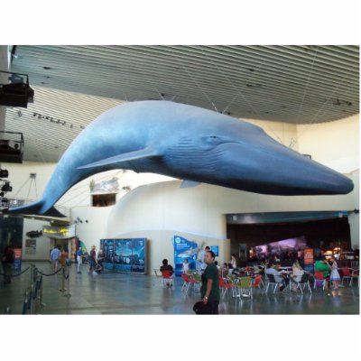 Blue Whale Long Beach Photo Sculpture by Sandiegodianna