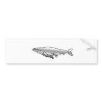 BLUE_WHALE MOTHER & BABY