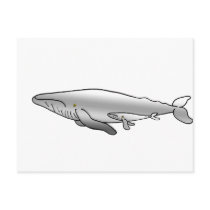 BLUE_WHALE MOTHER & BABY