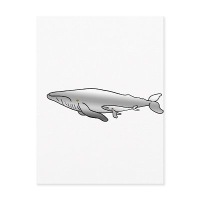 BLUE_WHALE MOTHER & BABY by cabinfeverdavid