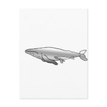 BLUE_WHALE MOTHER & BABY