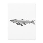 BLUE_WHALE MOTHER & BABY postcards