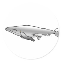 BLUE_WHALE MOTHER & BABY