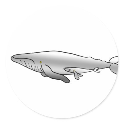 BLUE_WHALE MOTHER & BABY by cabinfeverdavid