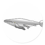 BLUE_WHALE MOTHER & BABY stickers