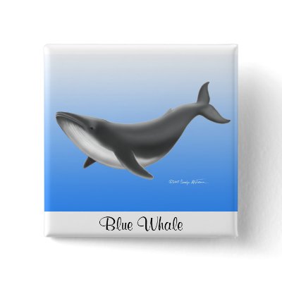 Blue Whale Pin by twopurringcats