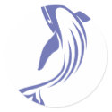 Blue Whale stickers