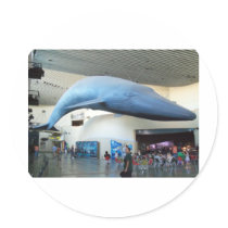 Blue Whale Round Stickers