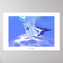 BLUE WHALES PRINT