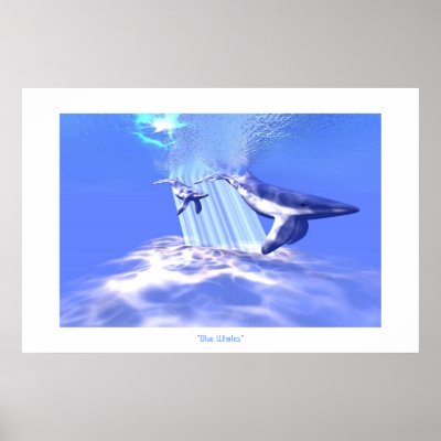 BLUE WHALES PRINT by COREY__FORD