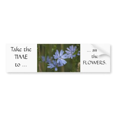 Blue Wildflowers Bumper Sticker by ArianaMurphy