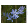 Blue Wildflowers Card