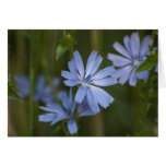 Blue Wildflowers Cards