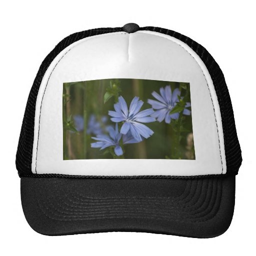 Blue Wildflowers Hats