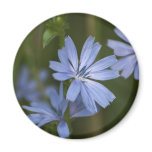 Blue Wildflowers Refrigerator Magnets