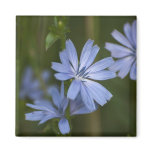 Blue Wildflowers Fridge Magnet