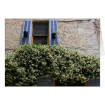 Blue Window Cards