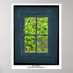 Blue window posters